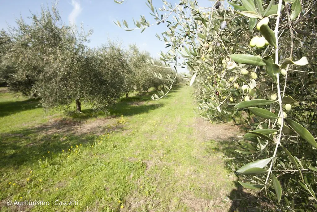 Agriturismo I Cascetti Villa Piancastagnaio 0*,  Italy